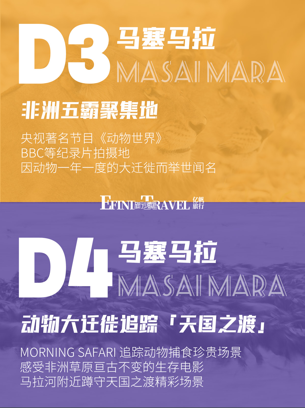 肯尼亚动物大迁徙7日游旅行方案
