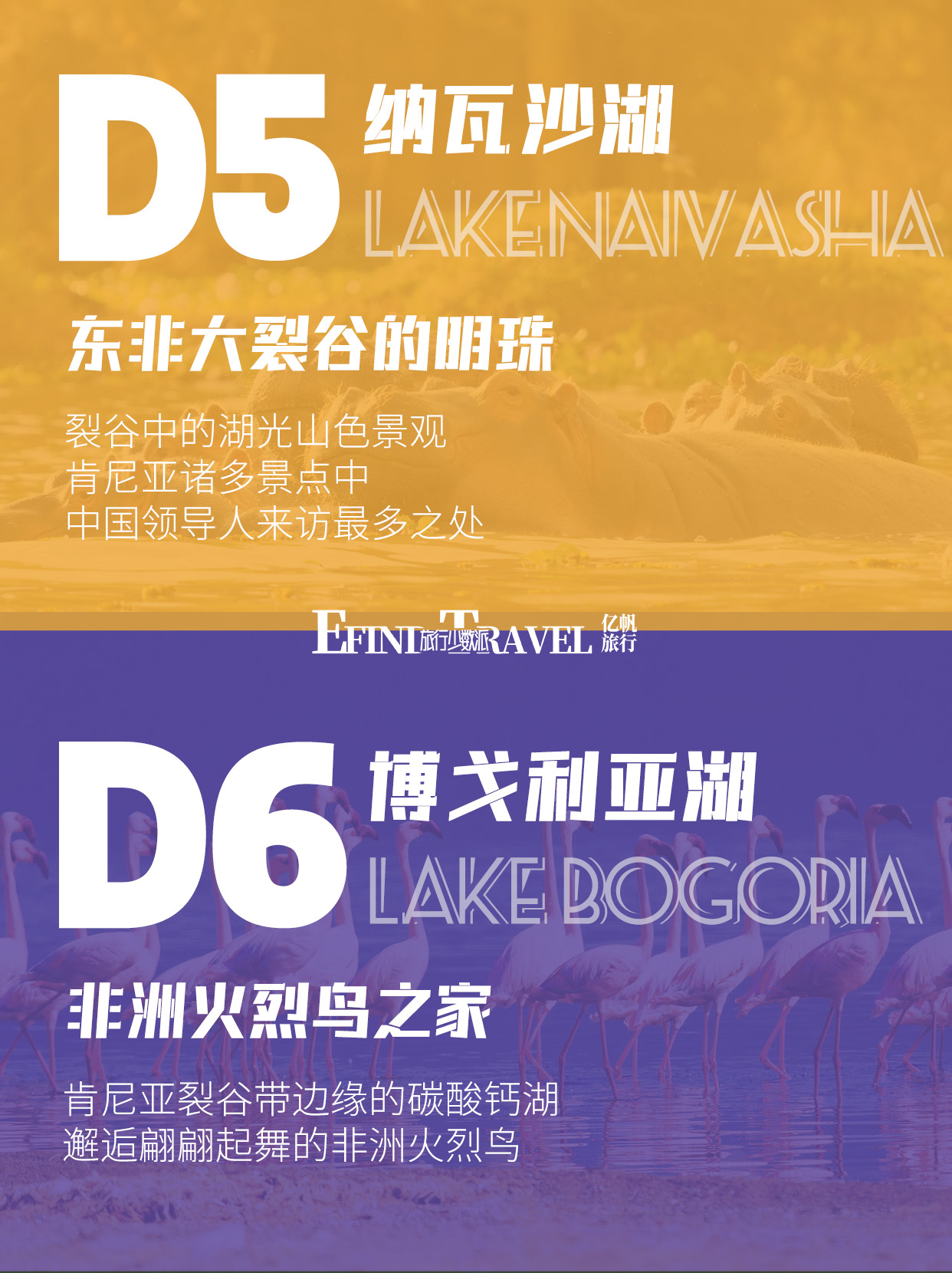 肯尼亚动物大迁徙7日游旅行方案