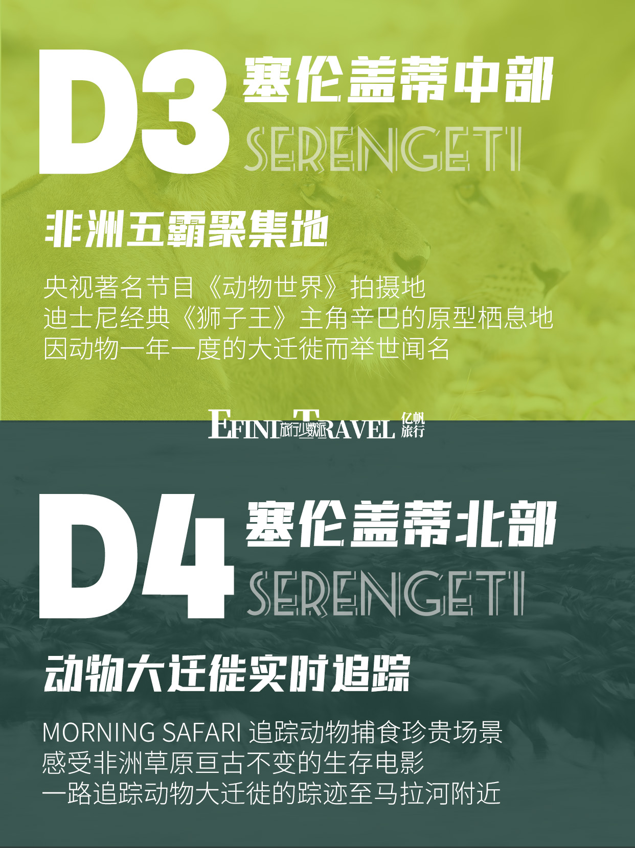 坦桑尼亚动物大迁徙7日游