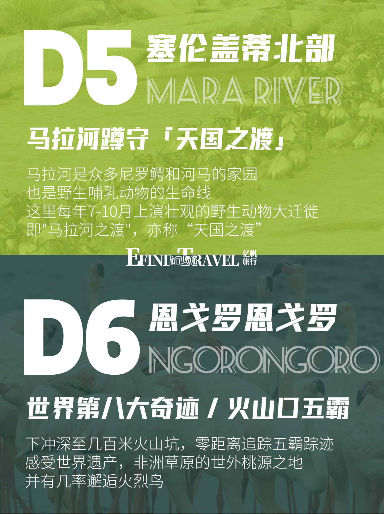 坦桑尼亚动物大迁徙7日游